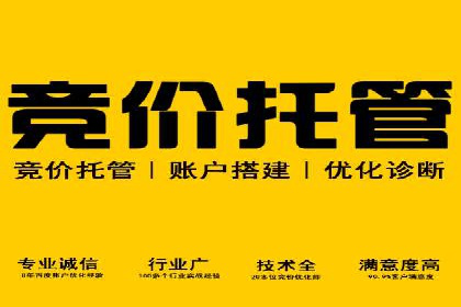 某电商平台的SEM优化案例分享